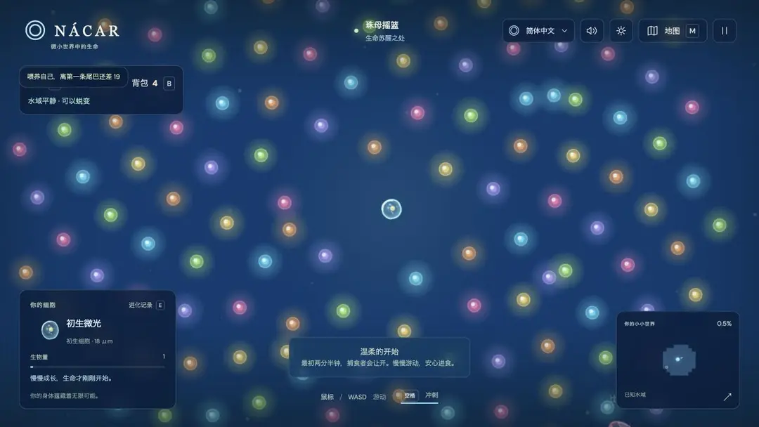 NÁCAR — Screenshot aus dem Spiel